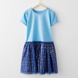 Hanna Andersson Blue Tulle Dress